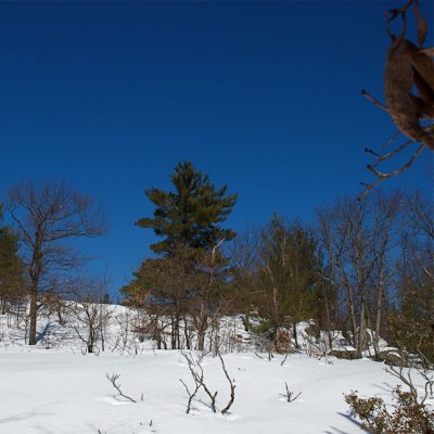 DSC_3229.jpg