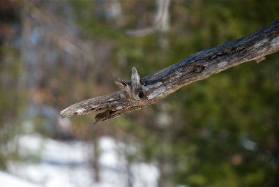 DSC_3233.jpg