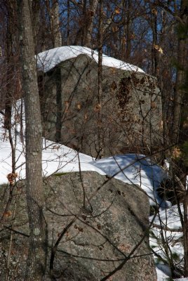 DSC_3235.jpg