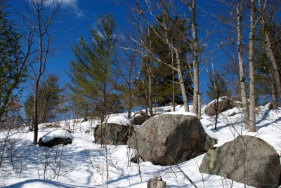 DSC_3245.jpg