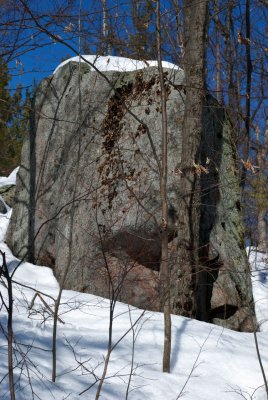 DSC_3254.jpg