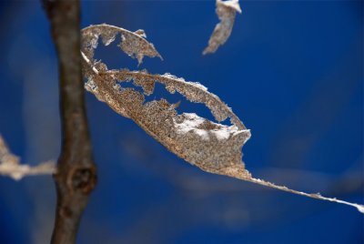 DSC_3258.jpg