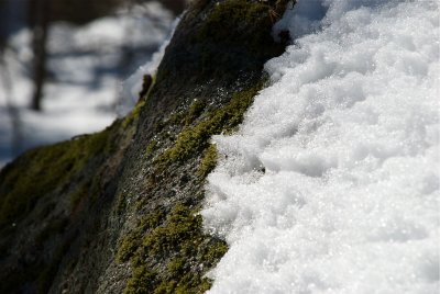 DSC_3309.jpg