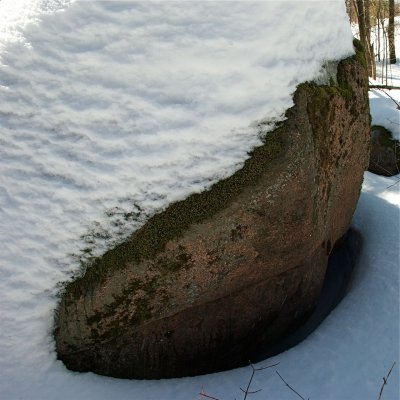 DSC_3331.jpg