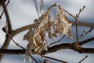 DSC_3334.jpg