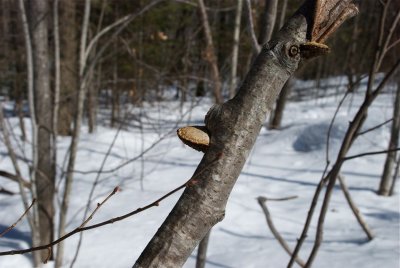 DSC_3350.jpg