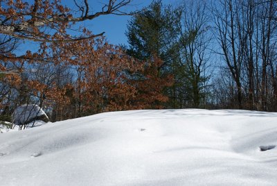 DSC_3353.jpg