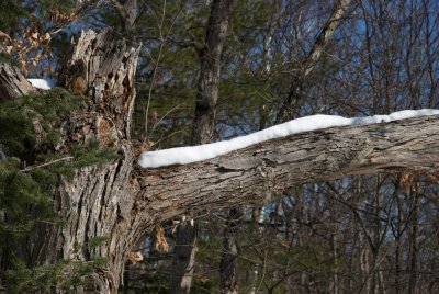 DSC_3370.jpg