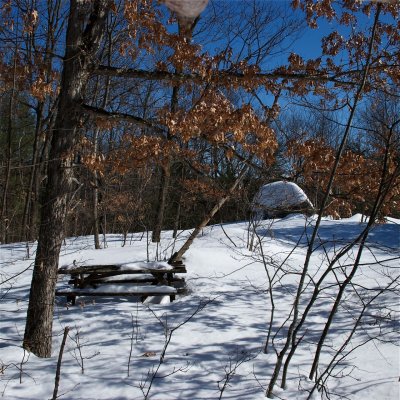 DSC_3374.jpg