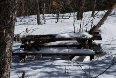 DSC_3376.jpg