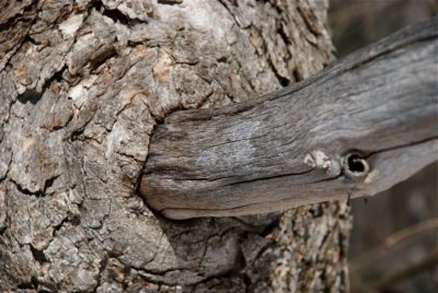 DSC_3380.jpg