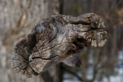 DSC_3386.jpg