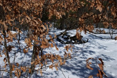 DSC_3392.jpg