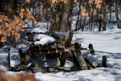DSC_3407.jpg