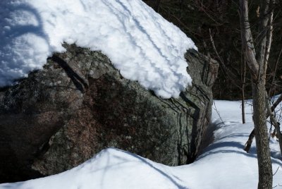DSC_3409.jpg
