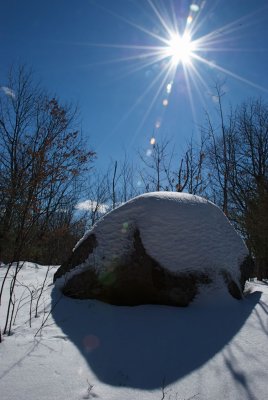 DSC_3418.jpg