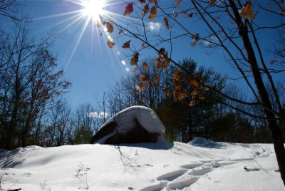 DSC_3450.jpg