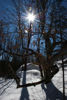 DSC_3465.jpg