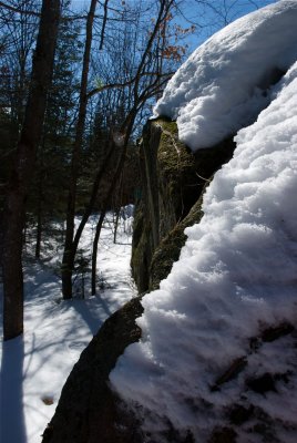 DSC_3483.jpg
