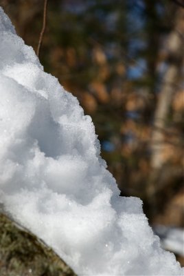 DSC_3495.jpg