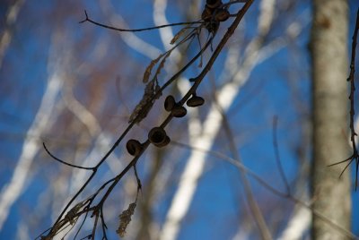 DSC_3504.jpg