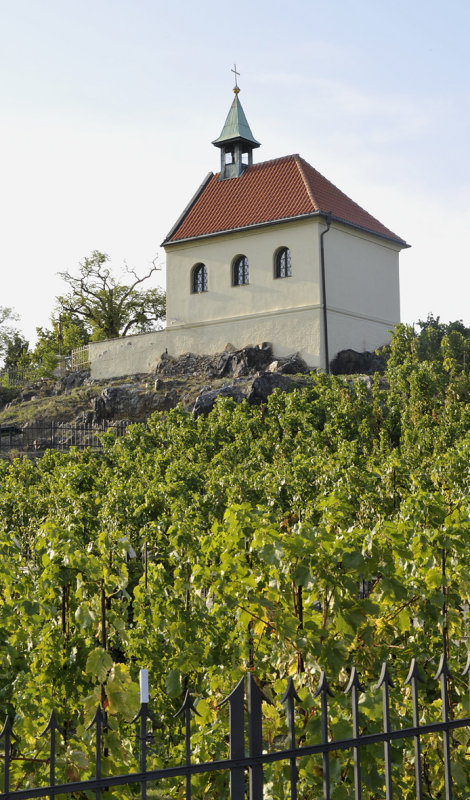 Prague botanical garden. Vineyard. Chapel.