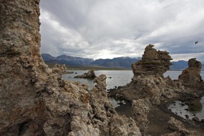 mono_5919_1199x800.jpg