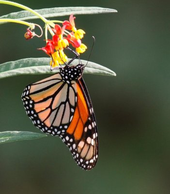 tamron_test