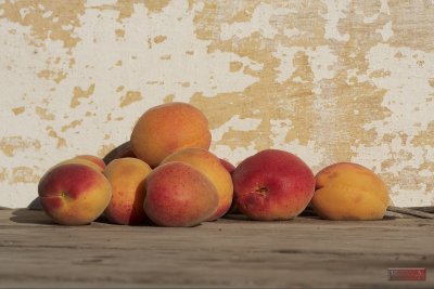 Apricot on the table