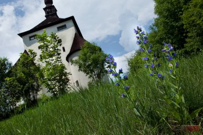Leányvár kastély - IMG_2675.jpg