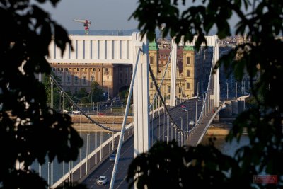Erzsébet híd, Elisabeth Bridge - Budapest, Hungary