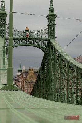 Liberty Bridge, Budapest, Hungary - IMG_2460-2.jpg