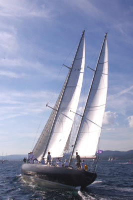 vstIMGP7442pb.jpg