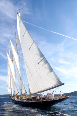 vstIMGP7496pb.jpg
