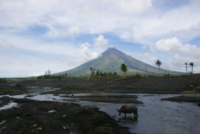 VL4.jpg