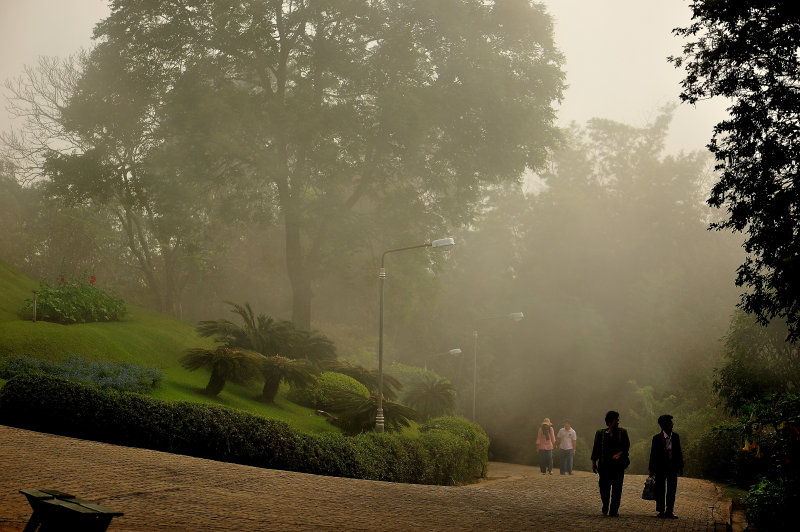 Mist at Doi Tung