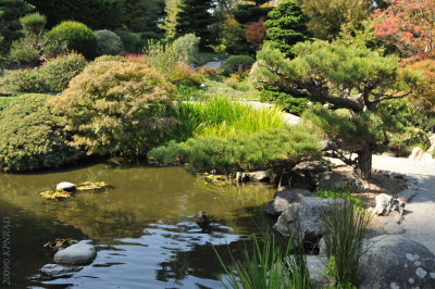 Hakone Japanese Gardens