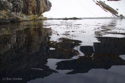 Reflections in Larsen Harbour