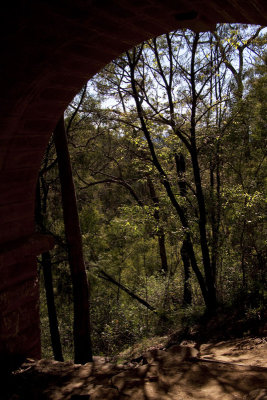 Knapsack Bridge