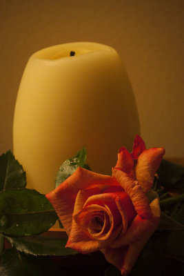 Candle and Rose 1