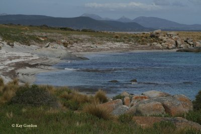 Sawyers Bay