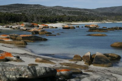 Sawyers Bay