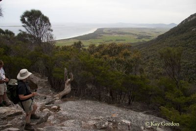 Mt Strzelecki Track