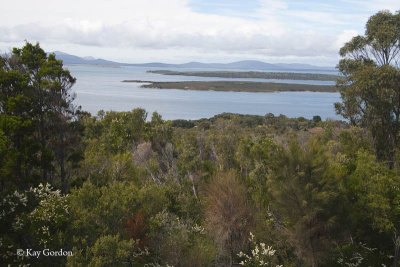 View from Vinegar Hill