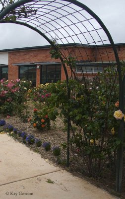 Whitemark Rose Garden