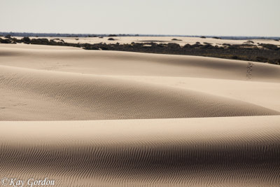 The Dunes of Mungo 