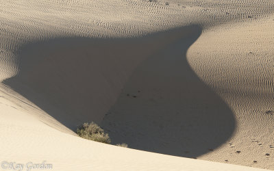 Dunes of Mungo
