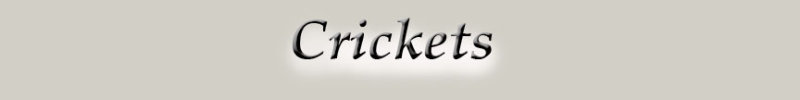 CricketsLogo.jpg