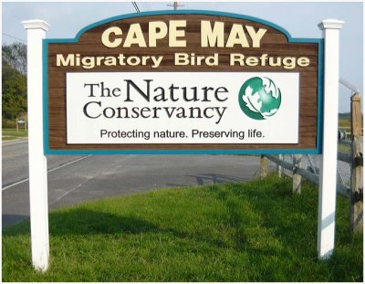 Cape May Migratory Bird Refuse-NJ