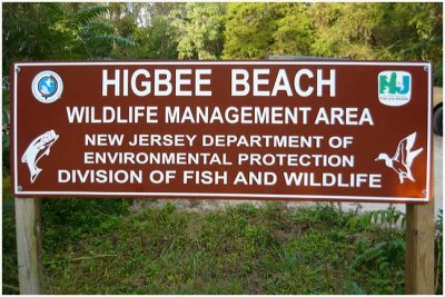 Higbee Beach-NJ